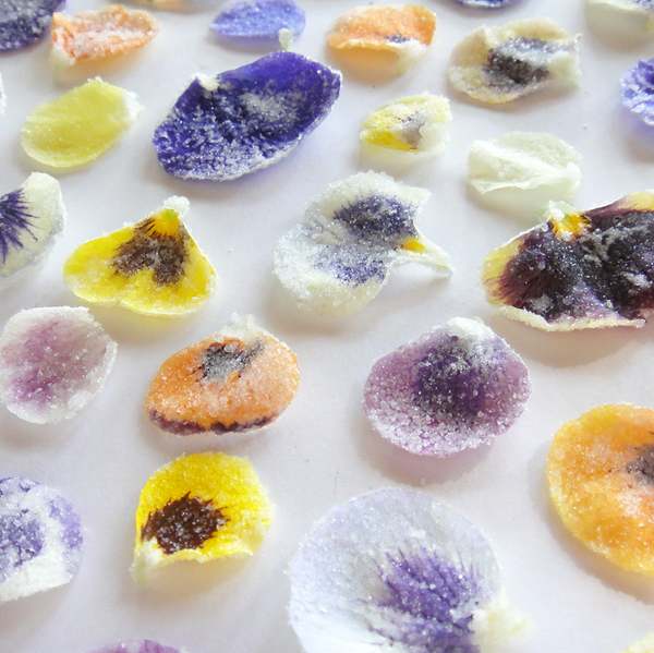 Crystallized Pansy Petals Multi Colours 34.5 CAD 40 pcs 1" 2" (25