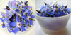 Borage Blue 18 pcs $4.75 CAD