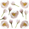 Apple Blossom Buds Micro White Pink 75 pcs $18.00 CAD