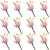 Allium Micro Sprigs Pink 50 pcs #246 $6.5 CAD