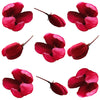 Apple Buds Micro Magenta 50 pcs #653 $15.25 CAD