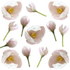 Apple Buds Micro White Pink 100 pcs #855 $27.75 CAD