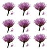 Chive Flowers Micro Mauve 12 pcs #120 $6.5 CAD