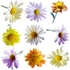Summer Chrysanthemum Flowers + Stems Mix 24 pcs #339 $16 CAD