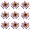 Summer Chrysanthemum Flowers + Stems Pink 36 pcs #714 $22.75 CAD