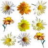 Summer Chrysanthemum Flowers + Stems Yellow 12 pcs #598 $8.5 CAD