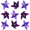 Columbine Flowers Purple 12 pcs #915 $11.5 CAD