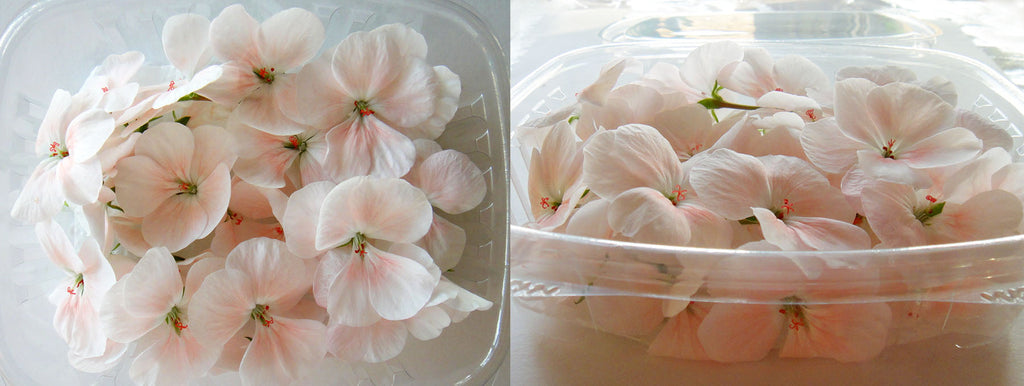 Geranium Pastel Mix Flowers + Stems 48 pcs $27 CAD