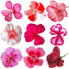 Geranium Mix Flowers + Stems 24 pcs #945 $18 CAD