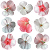 Geranium Pastel Mix Flowers + Stems 24 pcs #461 $18 CAD