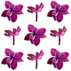 Lilac Micro Flowers Mix 75 pcs #341 $19.75 CAD