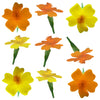 Marigold Tiny Micro Flowers Orange Flowers + Stems 75 pcs #412 $20.5 CAD