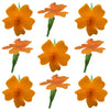 Marigold Tiny Micro Flowers Orange Flowers + Stems 24 pcs #851 $7.25 CAD