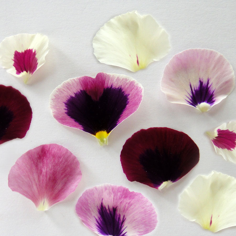Pansy Petals Micro Pink Mix 50 pcs #875 $8.5 CAD