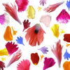 Paradise Petal Micro Mix 175 pcs #375 $11 CAD