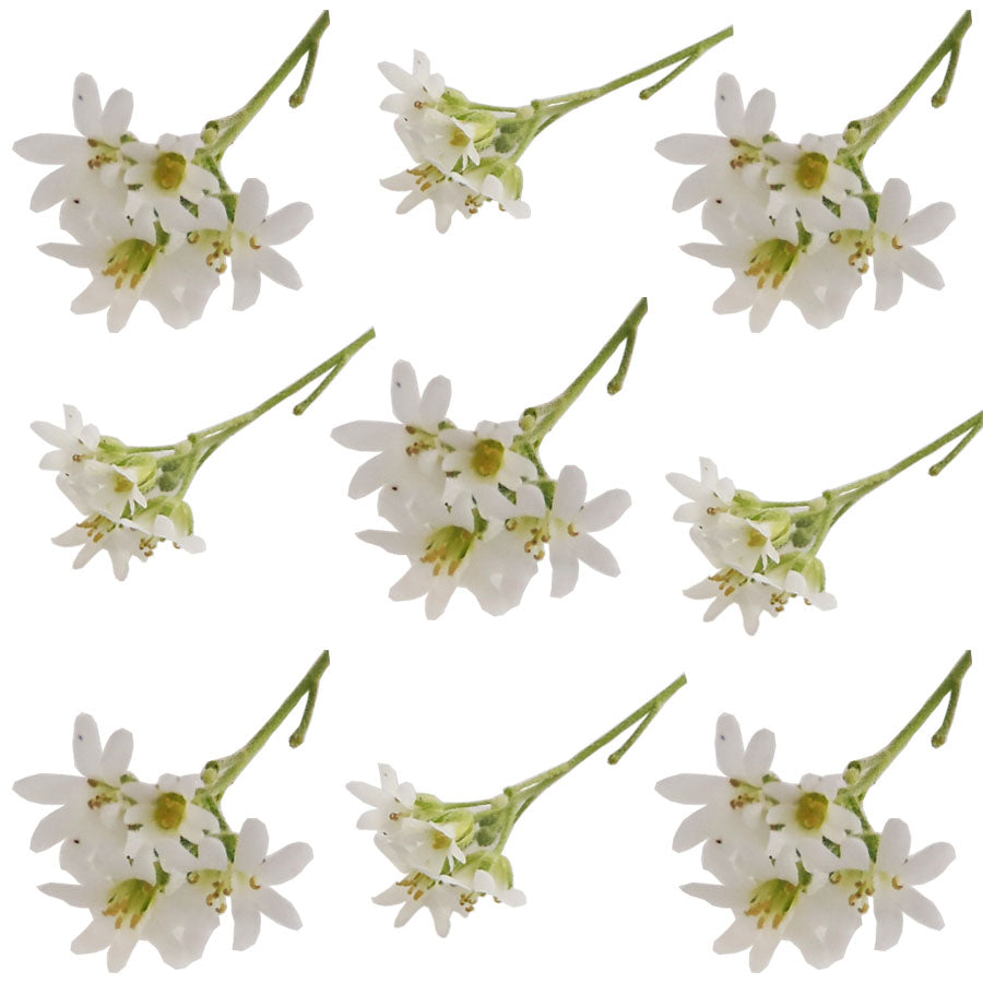 Peppergrass Sprigs White 40 pcs #833 $9 CAD