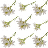 Peppergrass Sprigs White 40 pcs #833 $9 CAD