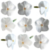 Summer Phlox Flowers White 24 pcs #526 $7.75 CAD