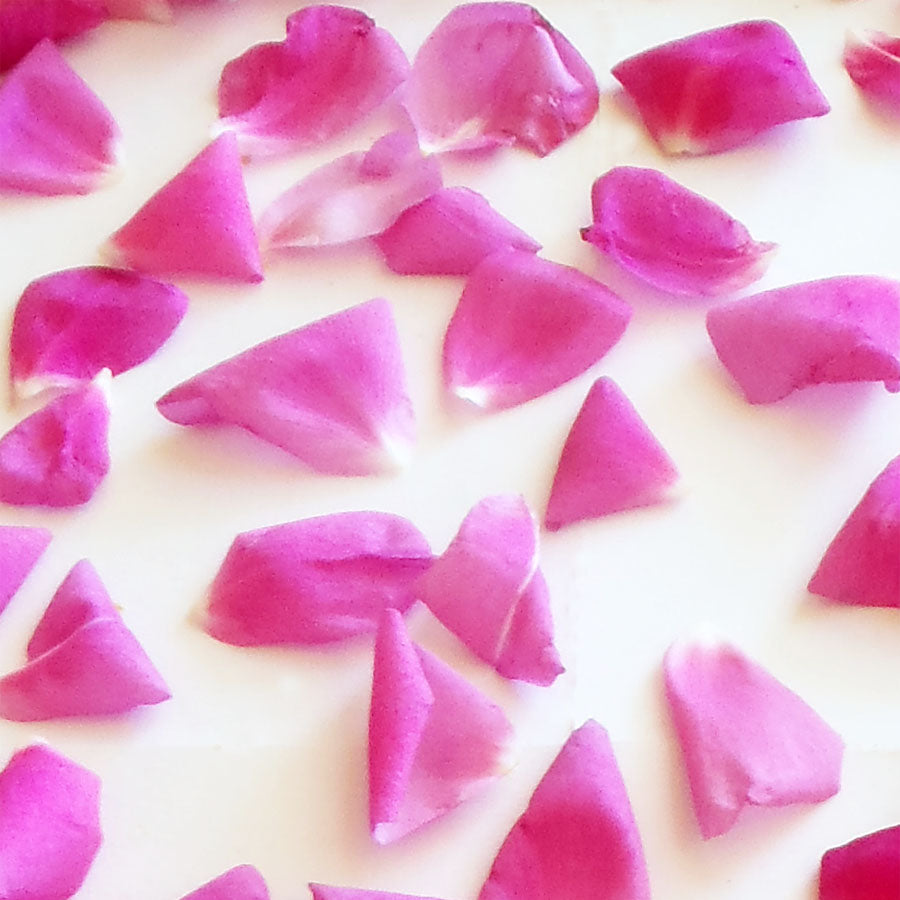 Rose Petals Small - Medium Size Magenta 40 pcs #77 $10.25 CAD