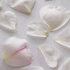 Rose Petals Small - Medium Size Pale Pink 50 pcs #75 $9.75 CAD