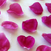 Rose Petals Large Magenta 15 pcs #30 $7.75 CAD