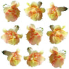 Snapdragon Flowers Double Coral 24 pcs #548 $14 CAD