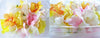 Snapdragon Flowers Double Mix Pastel 12 pcs #302 $7.25 CAD