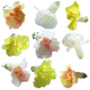 Snapdragon Flowers Double Mix Pastel 12 pcs #302 $7.25 CAD