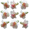 Snapdragon Flowers Double Pink 24 pcs #550 $14 CAD