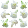 Snapdragon Flowers Double White 12 pcs #533 $7.25 CAD