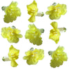 Snapdragon Flowers Double Yellow 12 pcs #602 $7.25 CAD