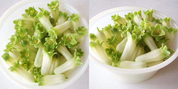 Sorry no photo available