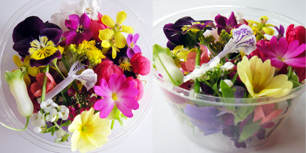 Spring Micro Mix 50 pcs #350 $13.5 CAD