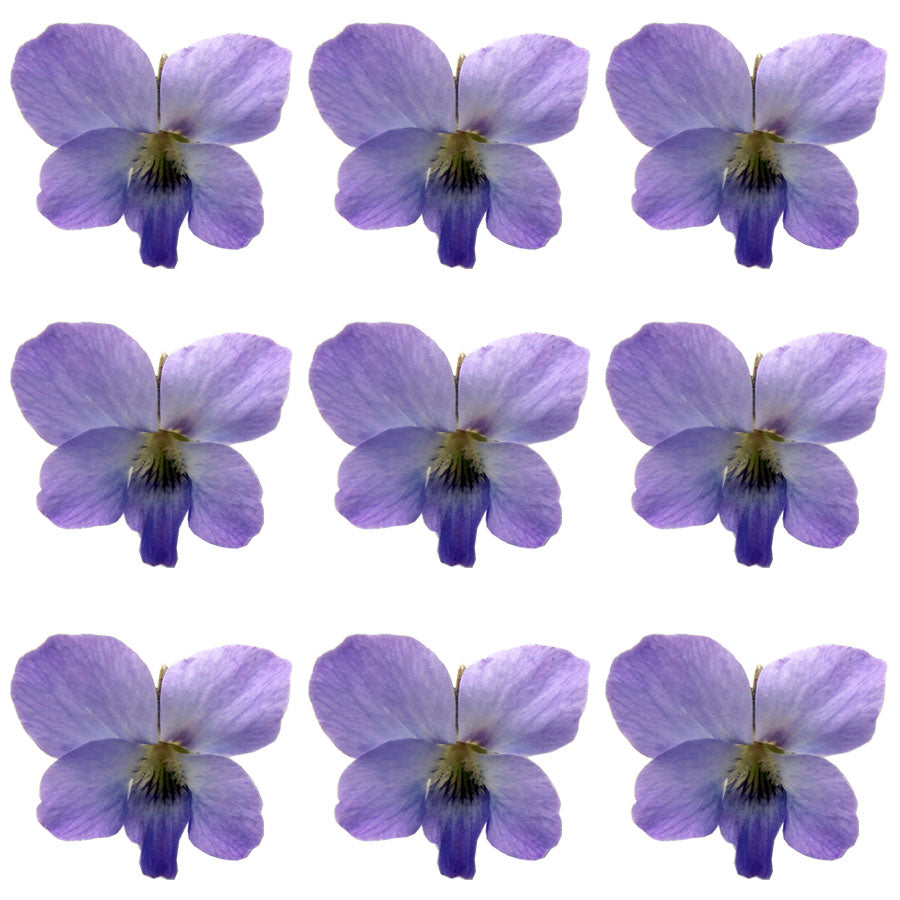 Spring Violets Mauve Flowers + Stems 100 pcs #689 $37.75 CAD