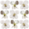 Spring Violets White Flowers + Stems 36 pcs #809 $15.25 CAD