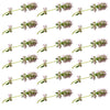 Thyme  Flower Sprigs 24 pcs #957 $7.75 CAD