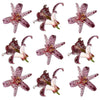 Toad Lily Flowers 12 pcs #667 $11 CAD