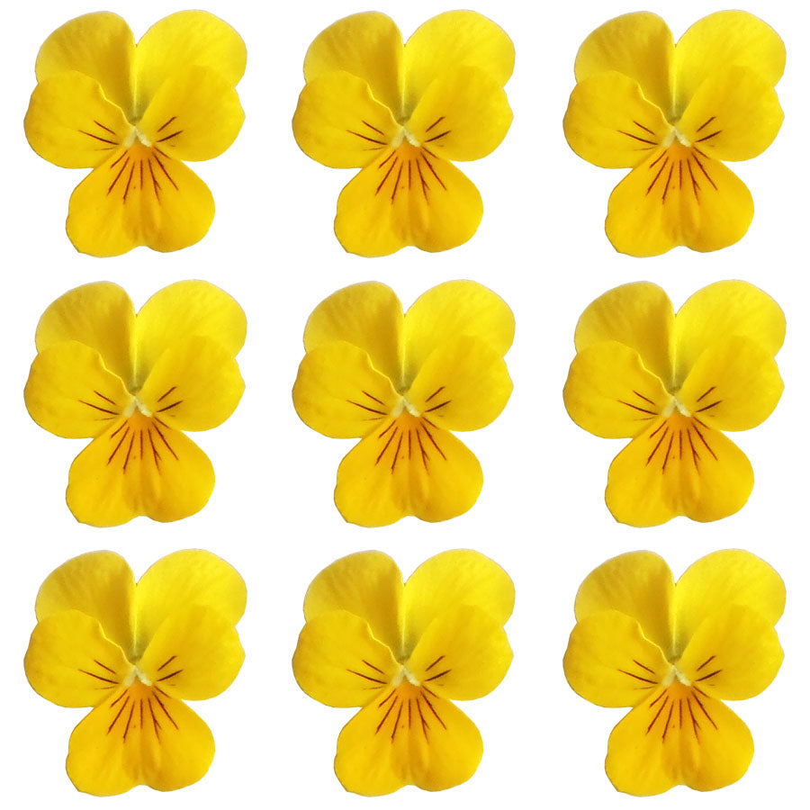 Violets Yellow Flowers + Stems 12 pcs #196 $5.25 CAD
