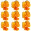 Violets Orange Flowers + Stems 12 pcs #712 $5.25 CAD