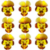 Violets Honeybee Flowers + Stems 12 pcs #892 $5.25 CAD