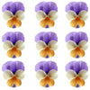 Violets Light Purple Orange White Flowers + Stems 12 pcs #707 $5.25 CAD