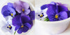 Violet Mix Blue Flowers + Stems 36 pcs #637 $14.75 CAD