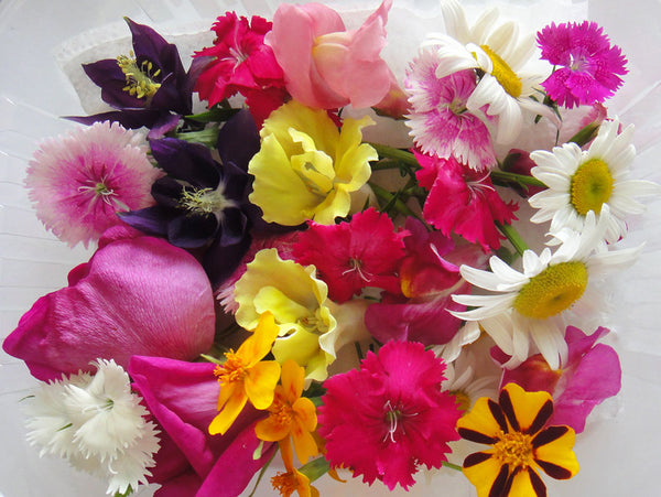 Seasonal Weekly Mix 25 pcs #251 $12.75 CAD