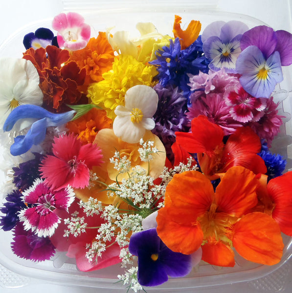 Seasonal Weekly Mix 50 pcs #628 $24 CAD