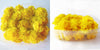 No photo available, please check later
