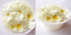 No photo available, please check later