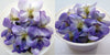No photo available, please check later