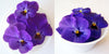 No photo available, please check later