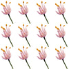 Allium Micro Sprigs Pink 50 pcs $5.25 CAD