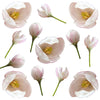 Apple Blossom Buds Micro White Pink 40 pcs $10.25 CAD